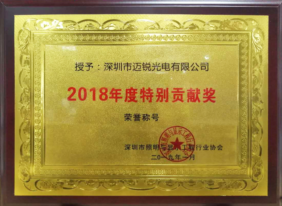 Lewin乐玩官网光电喜获“2018年度特别贡献奖”.jpg